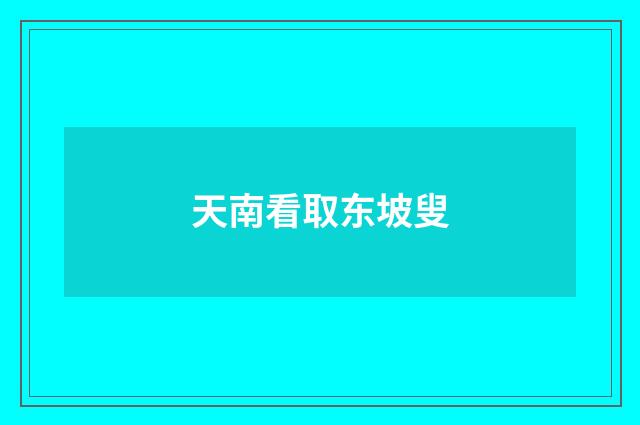 天南看取东坡叟