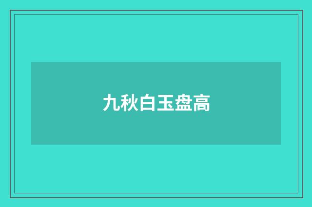 九秋白玉盘高