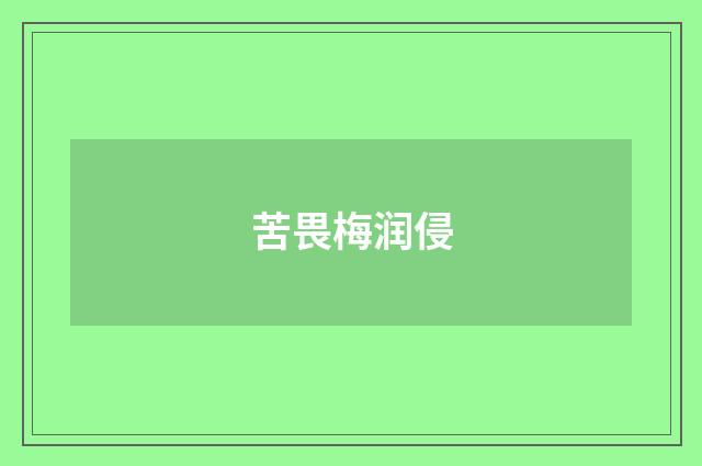 苦畏梅润侵