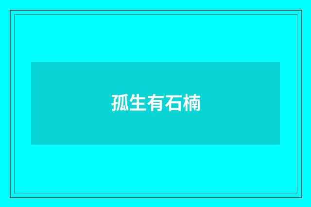 孤生有石楠
