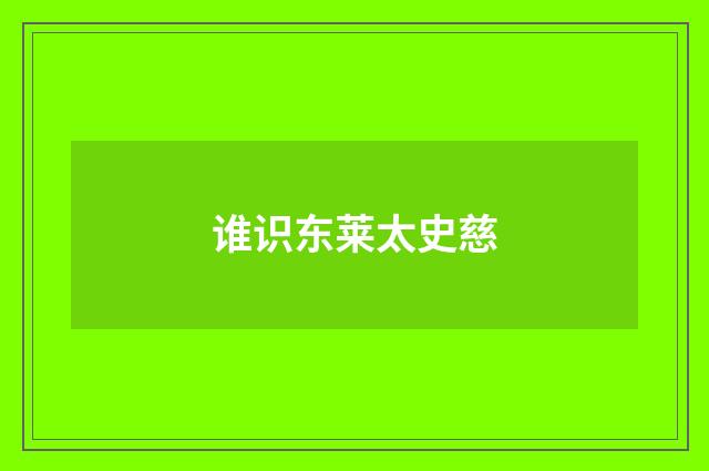 谁识东莱太史慈