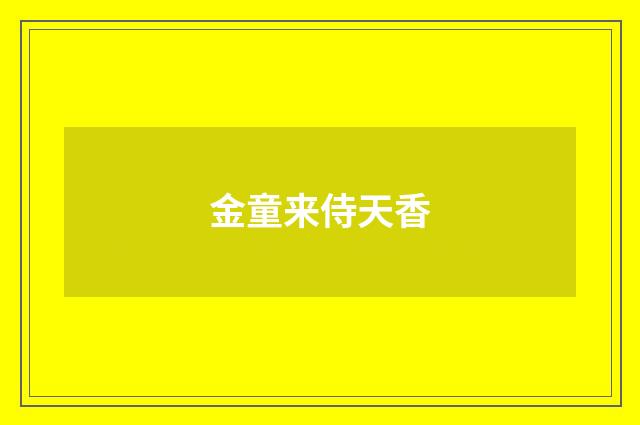 金童来侍天香