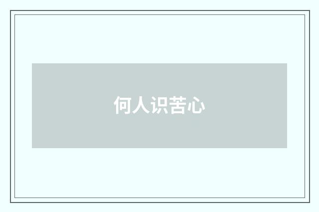 何人识苦心