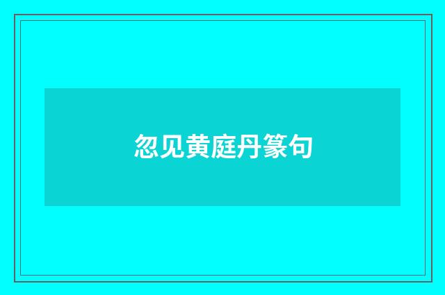 忽见黄庭丹篆句
