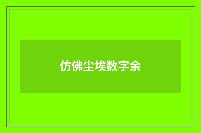 仿佛尘埃数字余