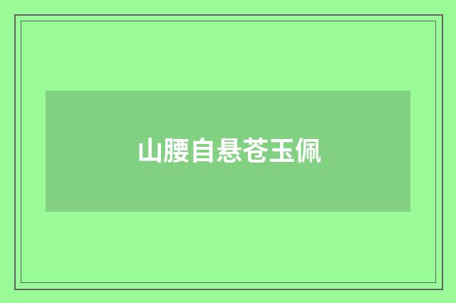 山腰自悬苍玉佩