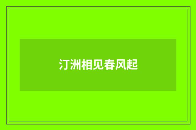 汀洲相见春风起