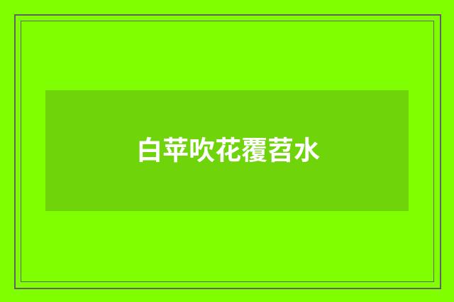 白苹吹花覆苕水