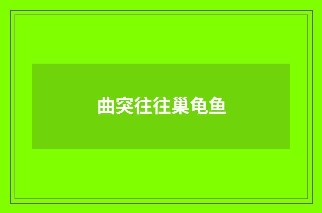 曲突往往巢龟鱼