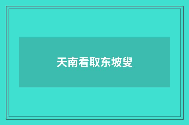 天南看取东坡叟