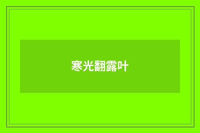 寒光翻露叶