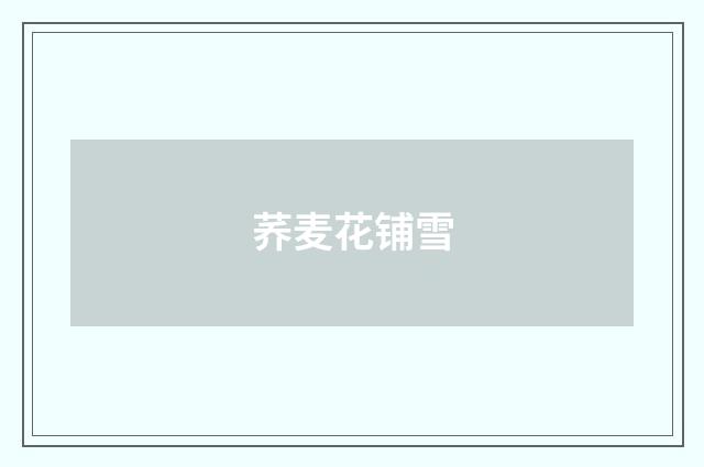 荞麦花铺雪