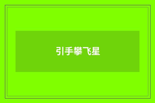 引手攀飞星