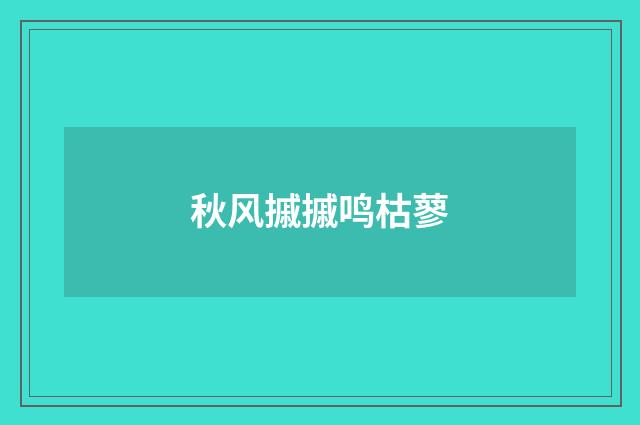 秋风摵摵鸣枯蓼