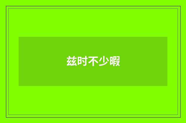 兹时不少暇