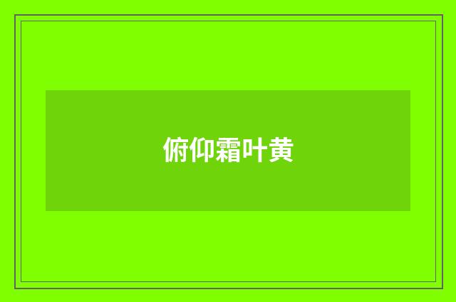 俯仰霜叶黄