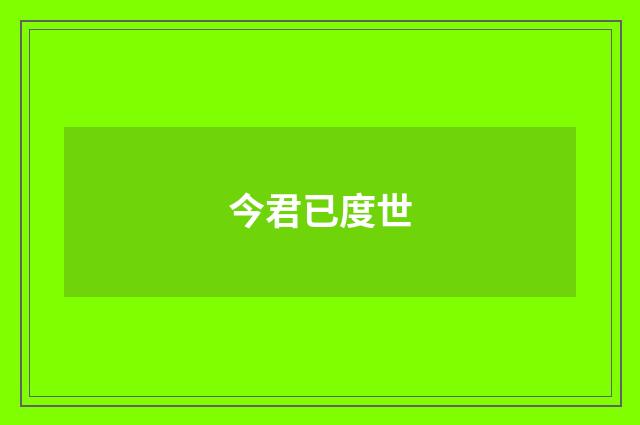 今君已度世