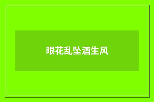 眼花乱坠酒生风