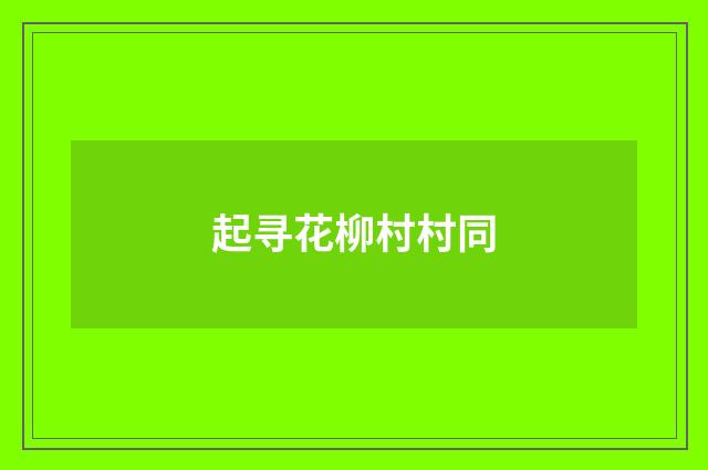起寻花柳村村同