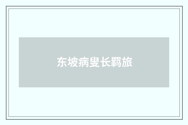 东坡病叟长羁旅