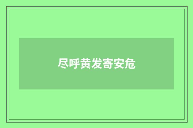 尽呼黄发寄安危
