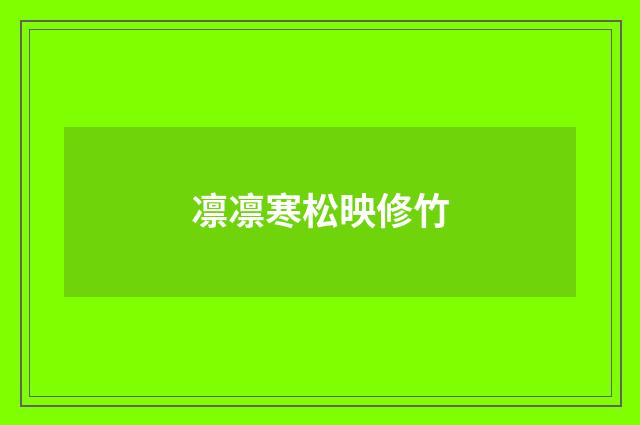 凛凛寒松映修竹