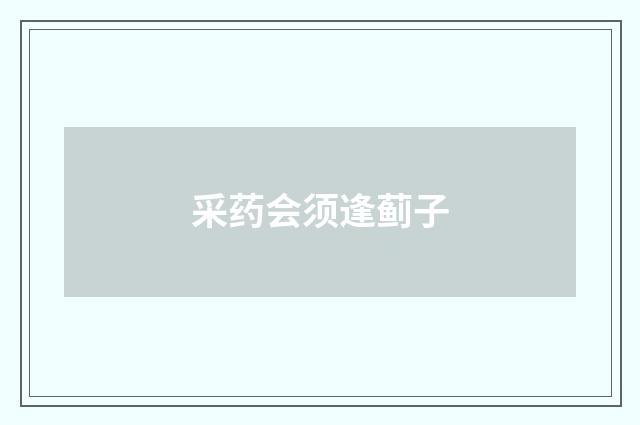 采药会须逢蓟子
