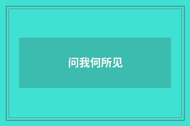 问我何所见