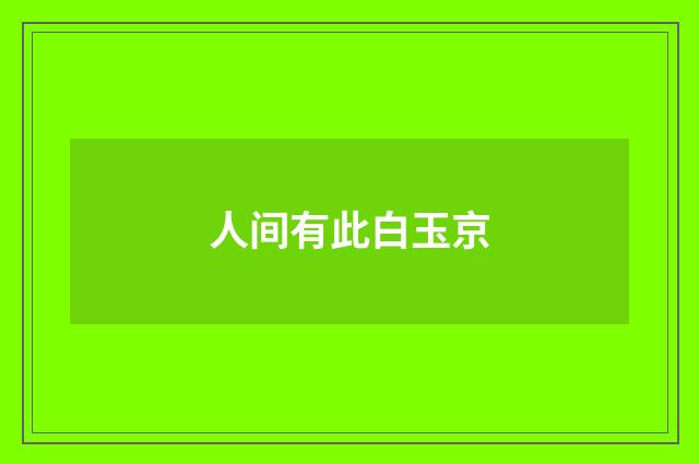 人间有此白玉京