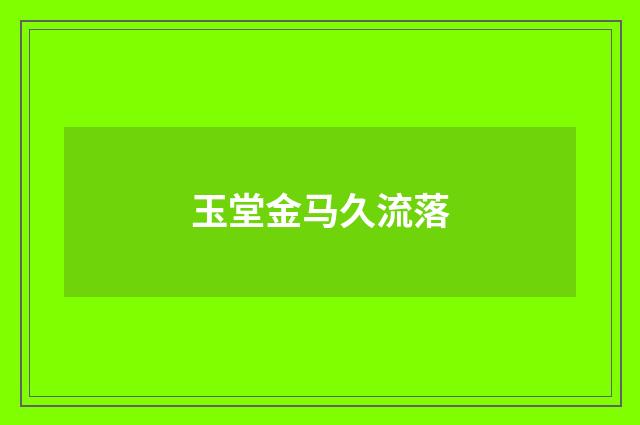 玉堂金马久流落
