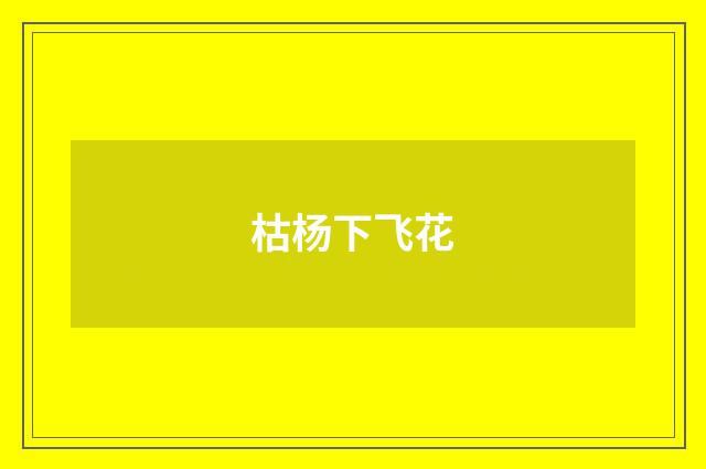 枯杨下飞花