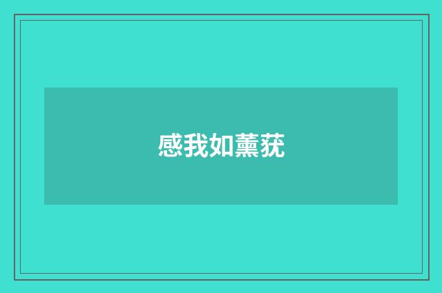 感我如薰莸