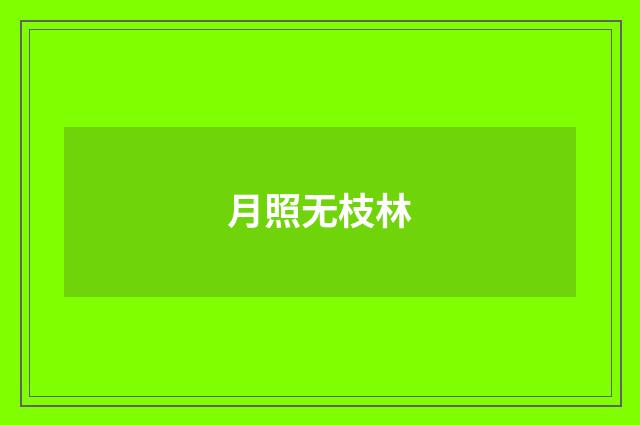 月照无枝林