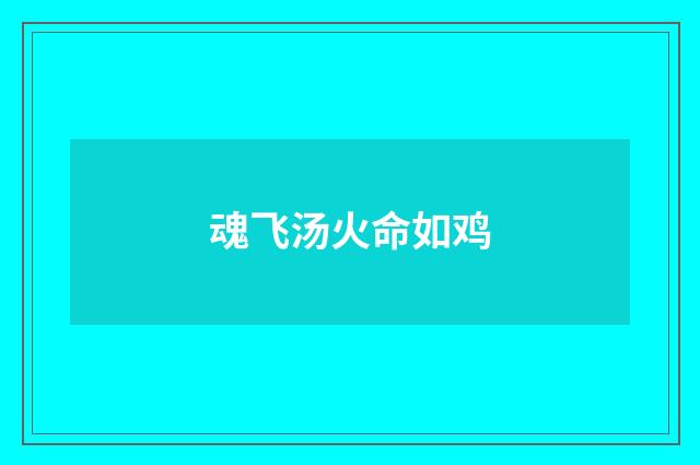 魂飞汤火命如鸡