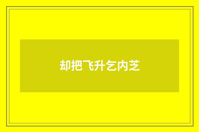 却把飞升乞内芝