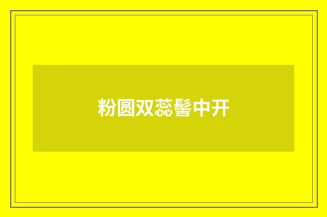 粉圆双蕊髻中开