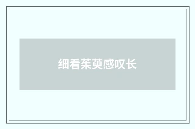 细看茱萸感叹长