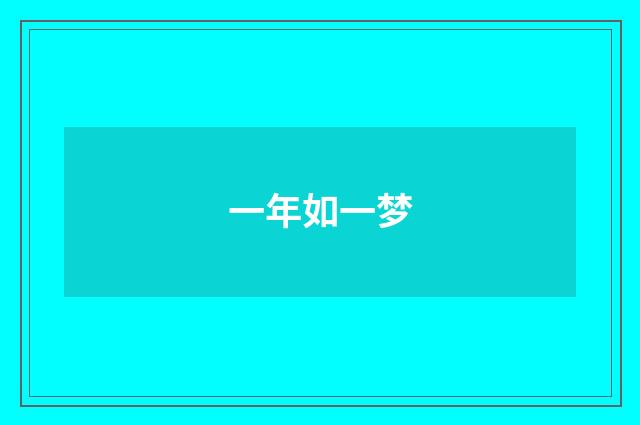 一年如一梦
