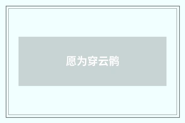 愿为穿云鹘
