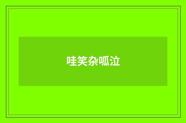 哇笑杂呱泣