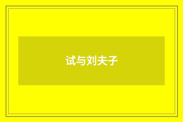 试与刘夫子