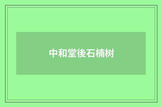 中和堂後石楠树