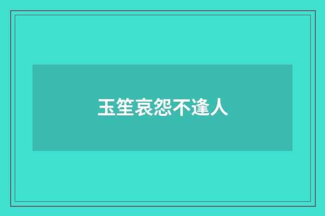 玉笙哀怨不逢人