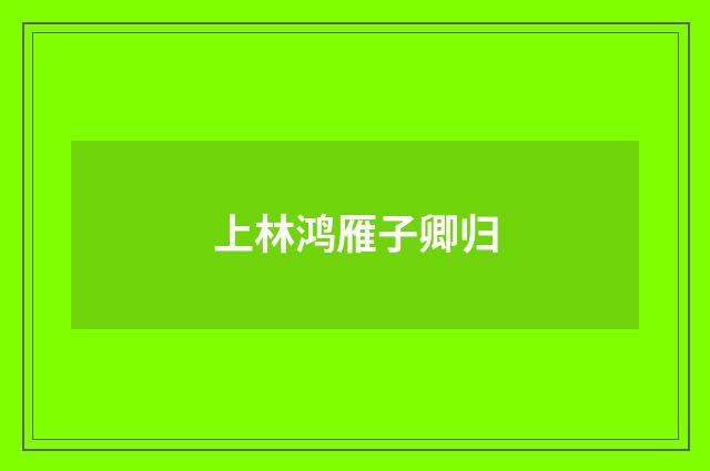 上林鸿雁子卿归