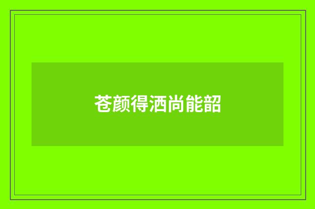 苍颜得洒尚能韶