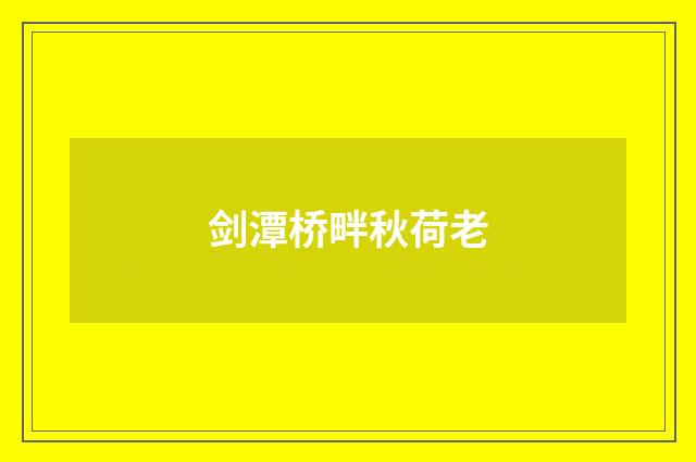 剑潭桥畔秋荷老
