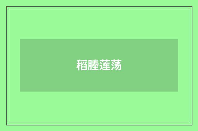 稻塍莲荡