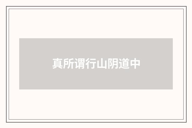 真所谓行山阴道中