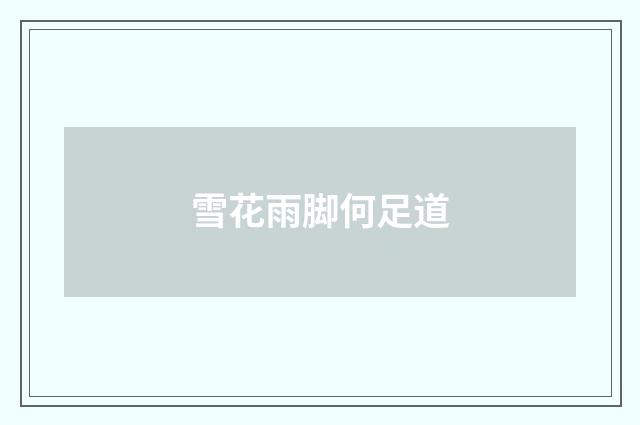 雪花雨脚何足道
