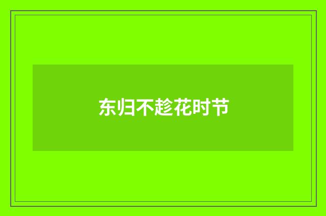 东归不趁花时节